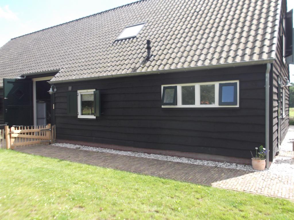 B&B Siberie Stuifzand Стая снимка